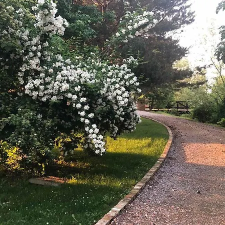 Vodenica Dren - Std Dren * Mionica