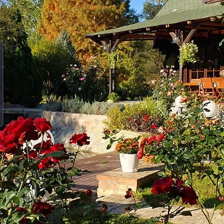 Vodenica Dren - Std Dren