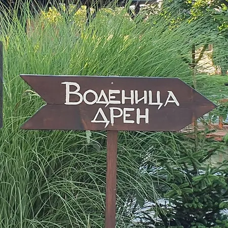 Vodenica Dren - Std Dren * Mionica