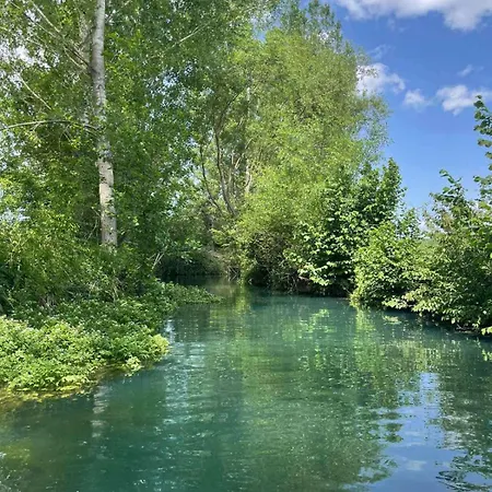 Vodenica Dren - Std Dren