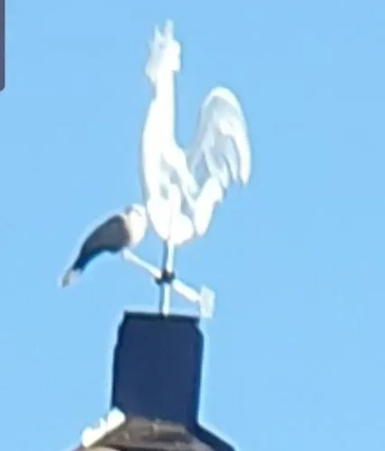 Vodenica Dren - Std Dren 公寓