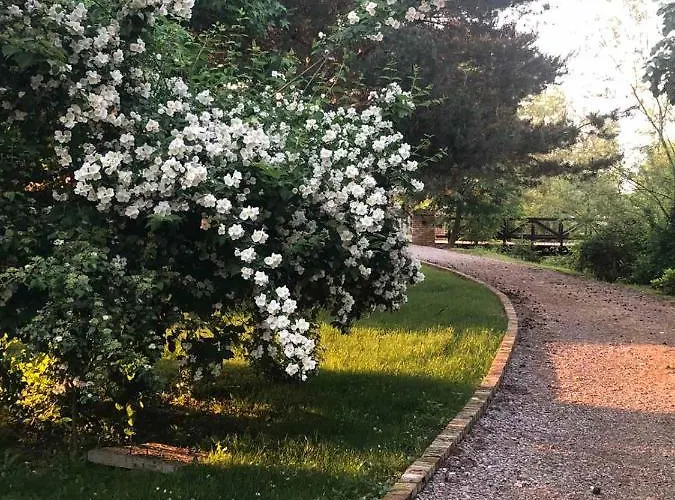 Vodenica Dren - Std Dren * Mionica