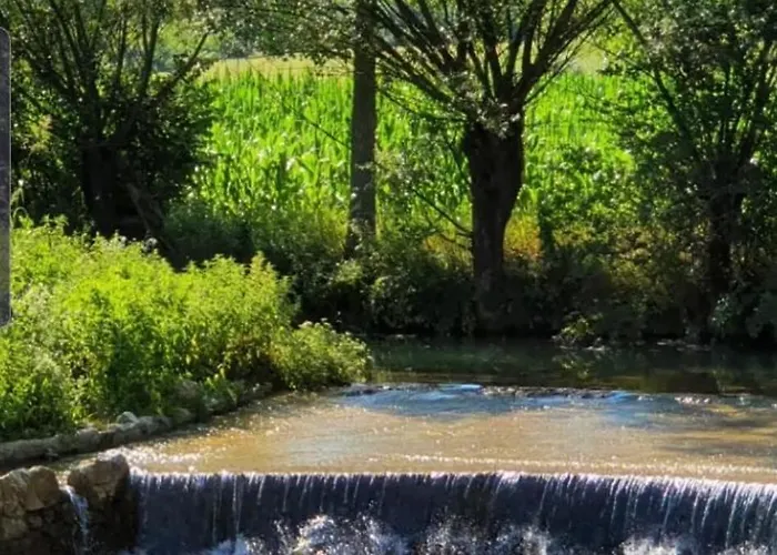 Vodenica Dren - Std Dren * Mionica