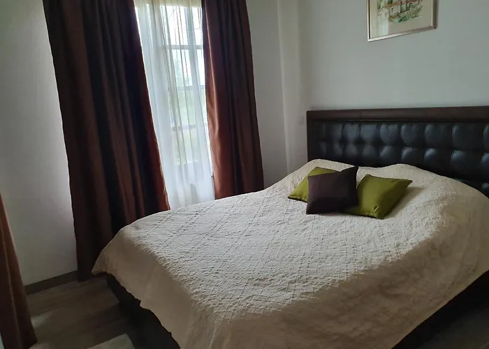 Vodenica Dren - Std Dren Mionica