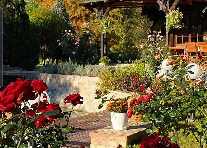 Vodenica Dren - Std Dren