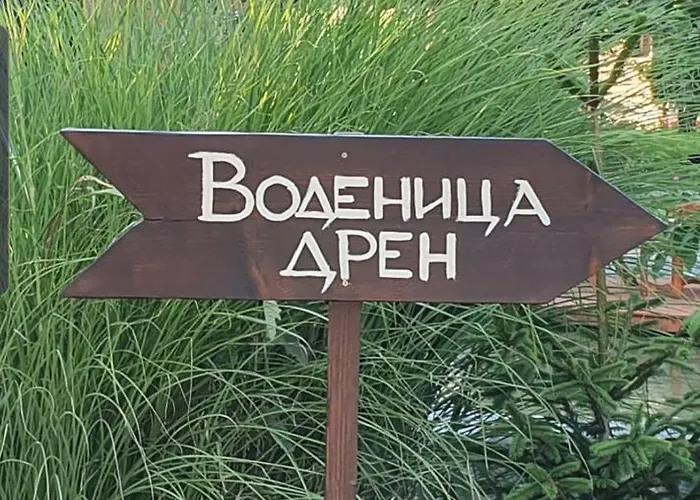 Vodenica Dren - Std Dren * Mionica