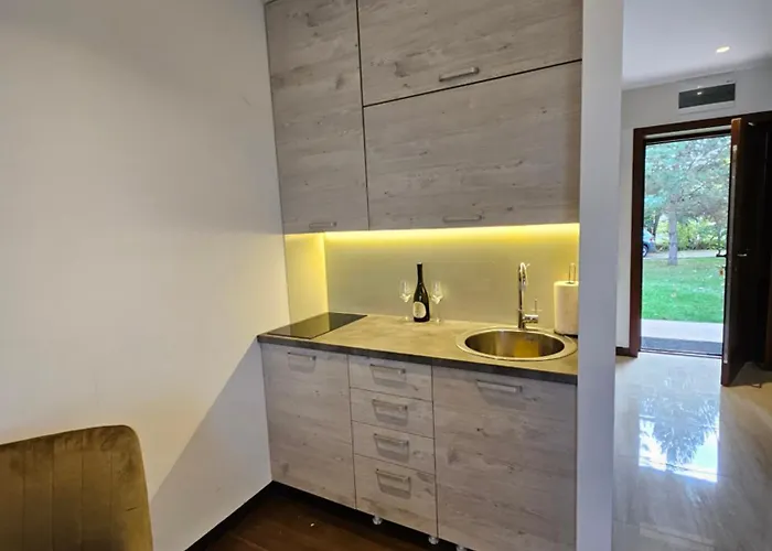 Vodenica Dren - Std Dren * Mionica