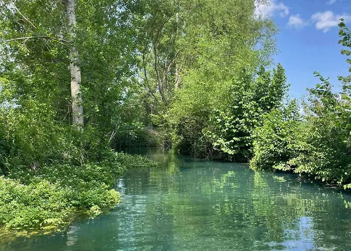 Vodenica Dren - Std Dren