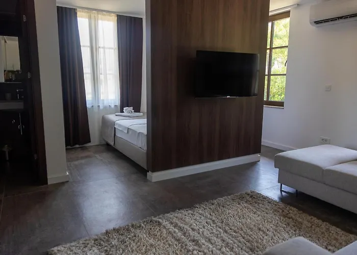 Vodenica Dren - Std Dren *